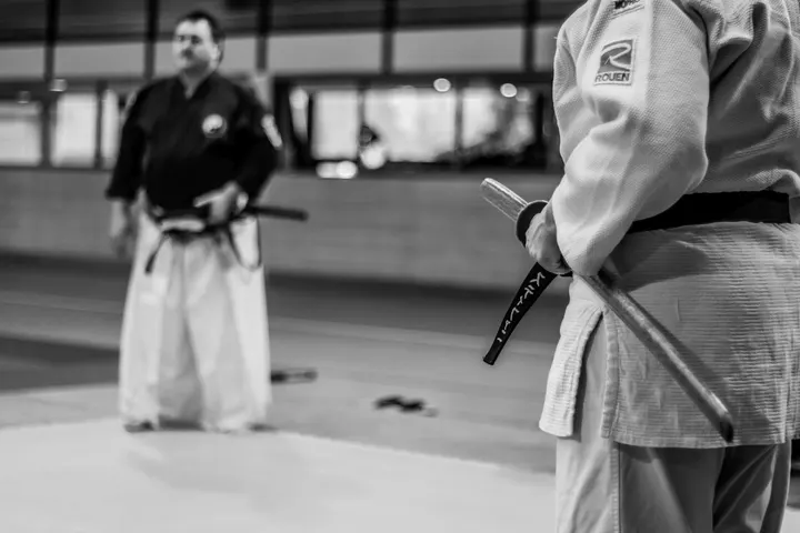 Ecole Française de JuJitsu et Self-Défense EFJJSD — jjb-studio à Vincennes — 4