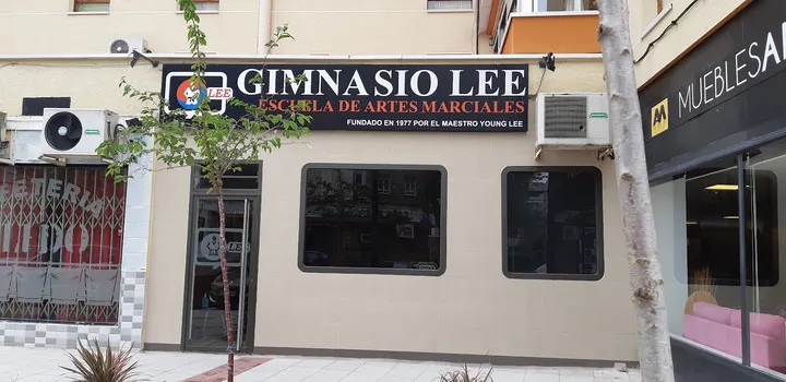 Gimnasio Lee Escuela De Artes Marciales — artes marciales-studio en Móstoles — 3