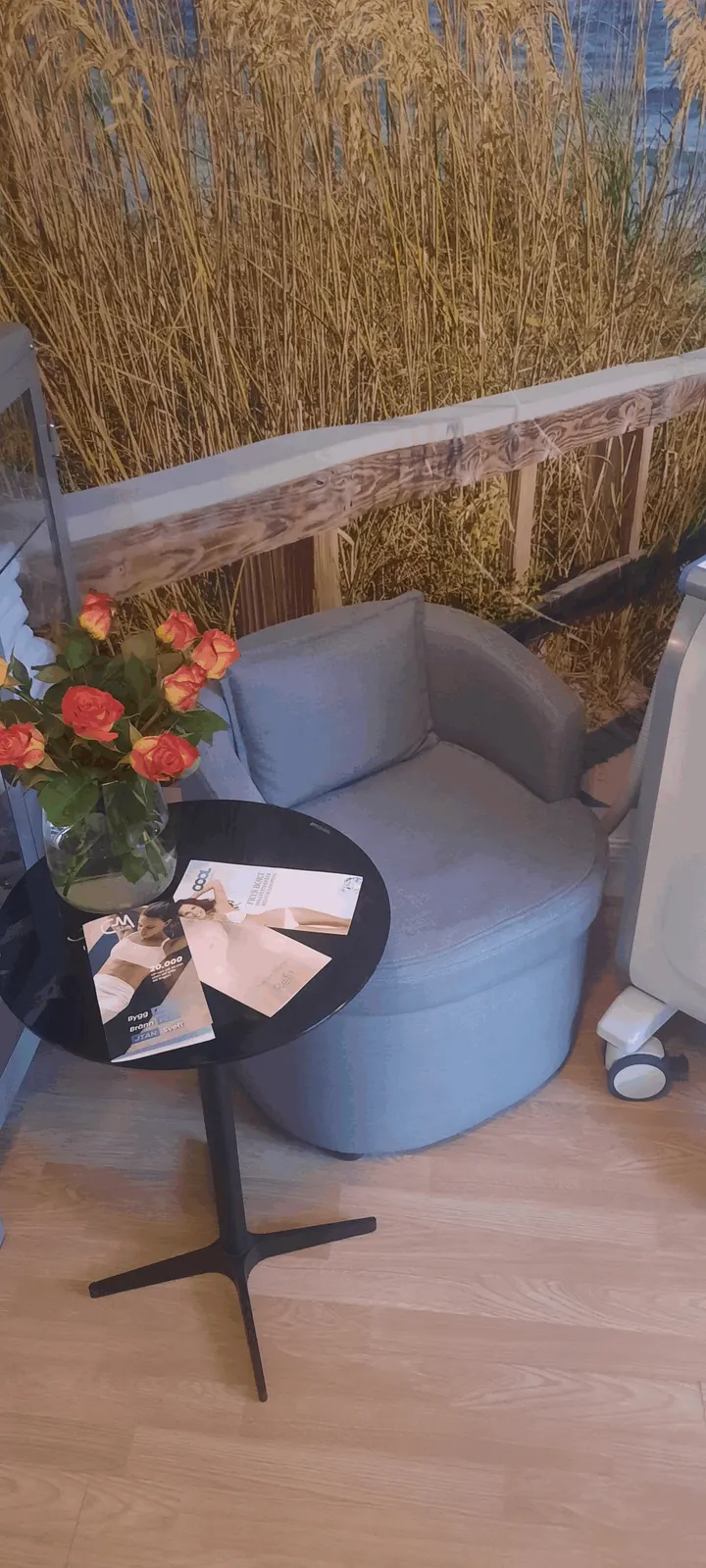 FORMA KROPPEN MED FETTFRYSNING, EMS/CMSLIM OCH KROPPSBEHANDLINGAR PÅ Öresunds Pilates & Massage — pilates-studio i Malmö — 4