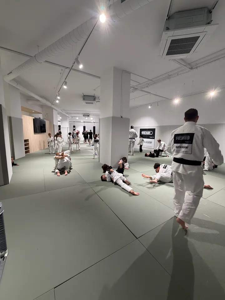 HENKO ACADEMY — Artes marciales en Zabalgana, Vitoria-Gasteiz