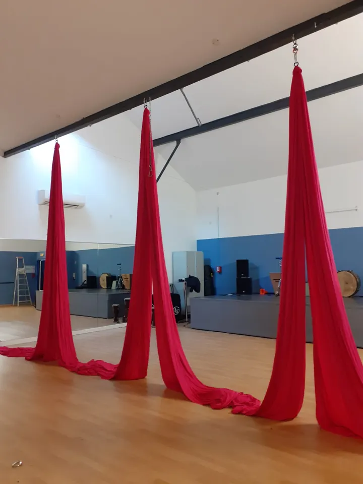 Aerial Fabrics by Orlova — arts aériens-studio à Vincennes — 4