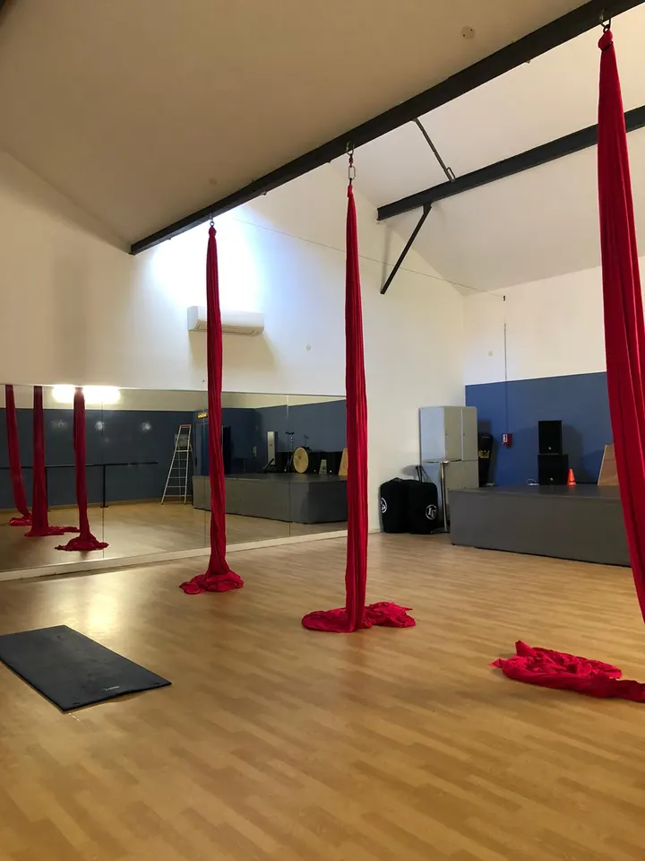 Aerial Fabrics by Orlova — arts aériens-studio à Vincennes — 5