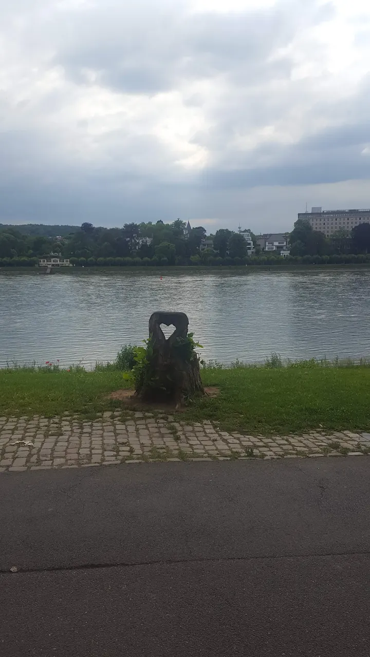 Fitness-Studio Beuel der SSF Bonn im Bootshaus Beuel — fitnessstudio in Bonn-Beuel, Bonn — 2