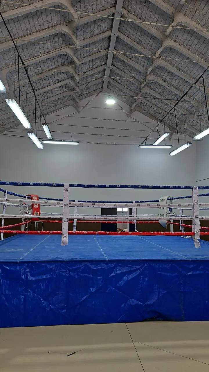 Boxeo Guadalajara D.C — artes marciales-studio en Guadalajara — 5