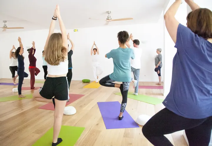 Vimayoga — Yoga à Gratte-Ciel, Villeurbanne