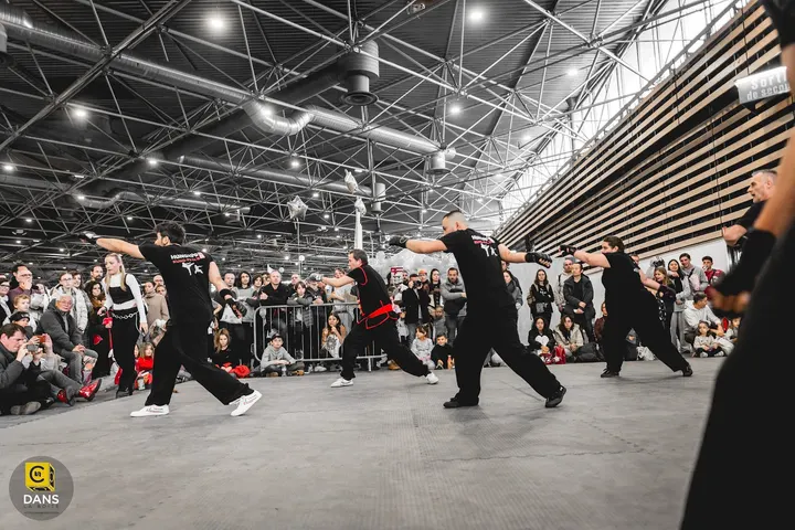 HungSing Kung-Fu Club Lyon — arts martiaux-studio à Lyon 4e Arrondissement, Lyon — 3