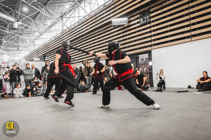 HungSing Kung-Fu Club Lyon — arts martiaux-studio à Lyon — 3