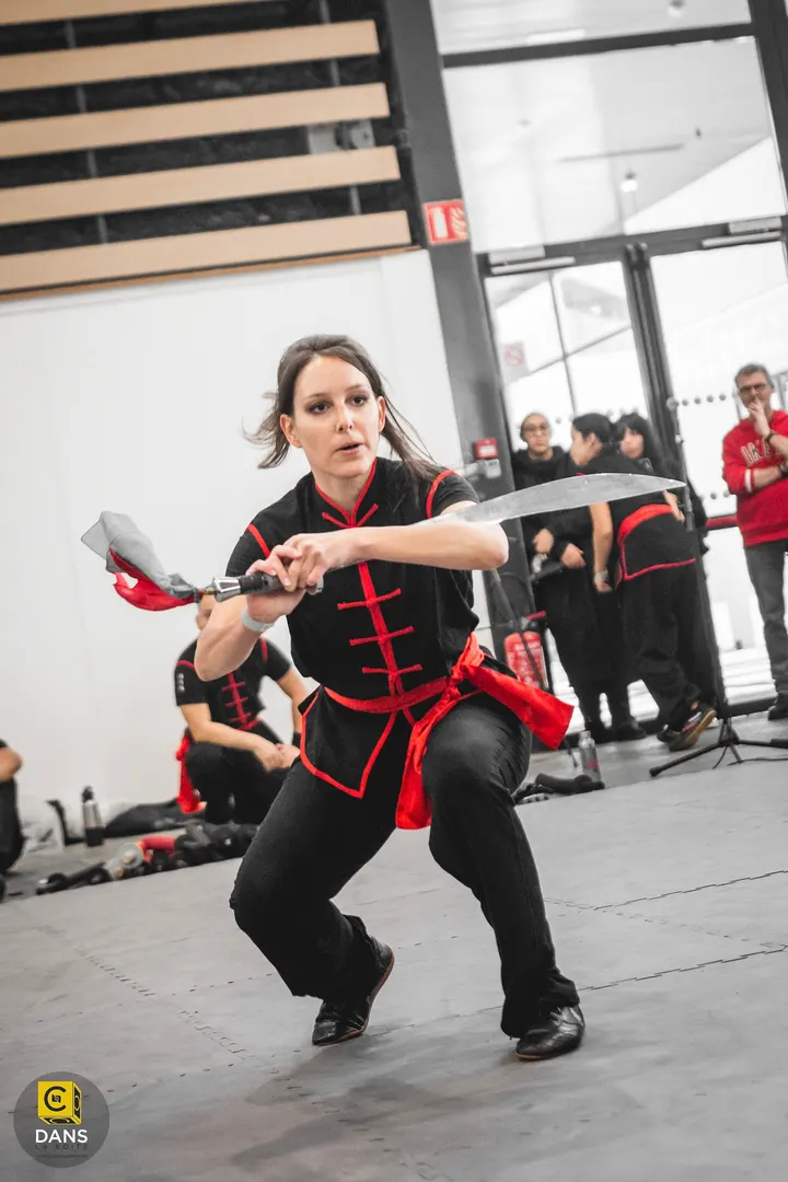 HungSing Kung-Fu Club Lyon — arts martiaux-studio à Lyon — 5