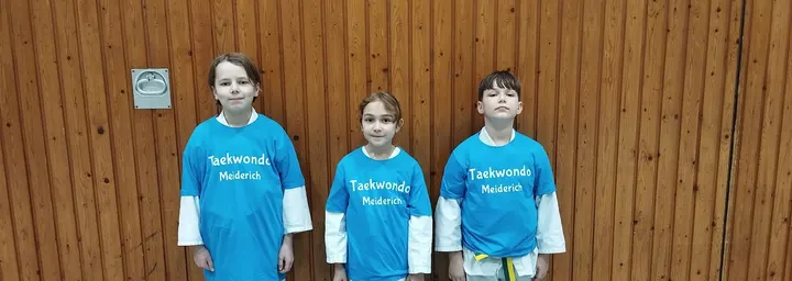 Taekwondo Verein Meiderich e.V. — kampfsport-studio in Duisburg — 4