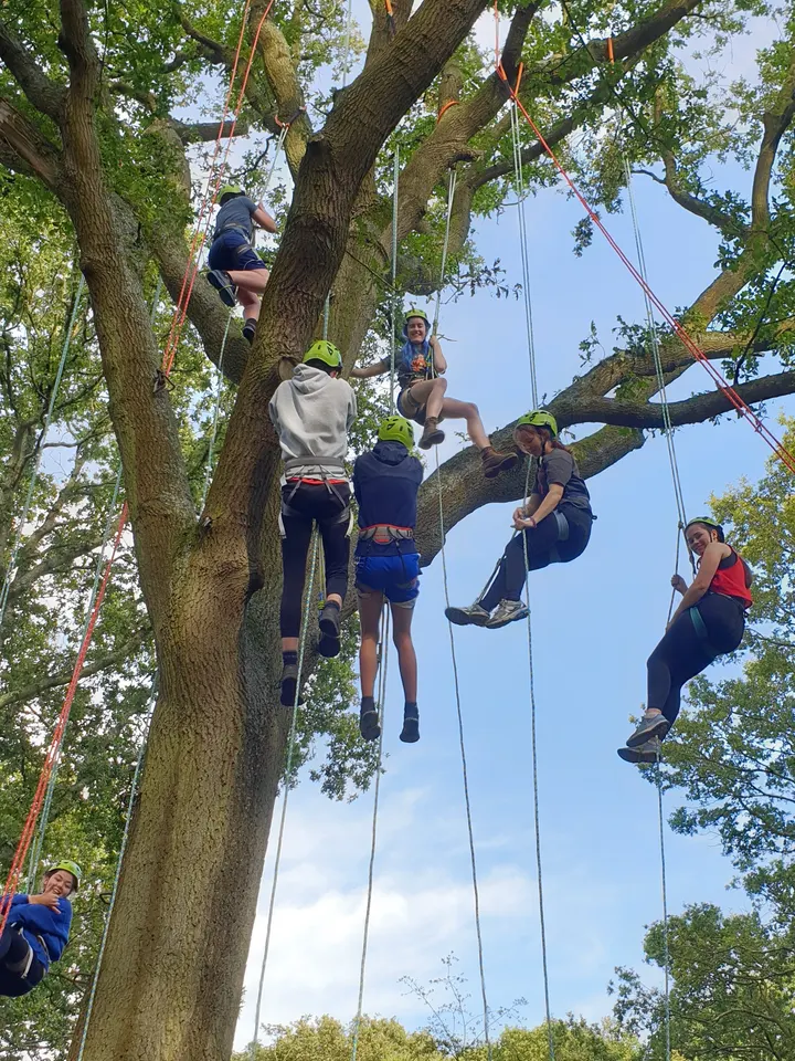 Discover Tree Climbing — climbing-studio in Childwall, Liverpool — 2