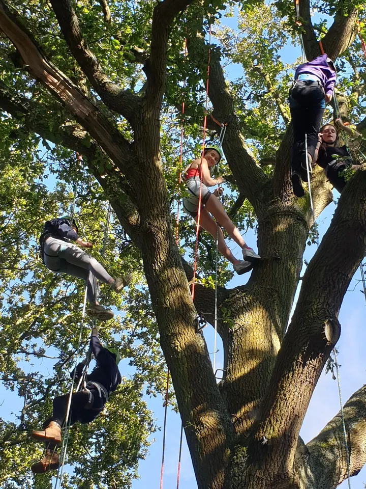 Discover Tree Climbing — climbing-studio in Childwall, Liverpool — 3