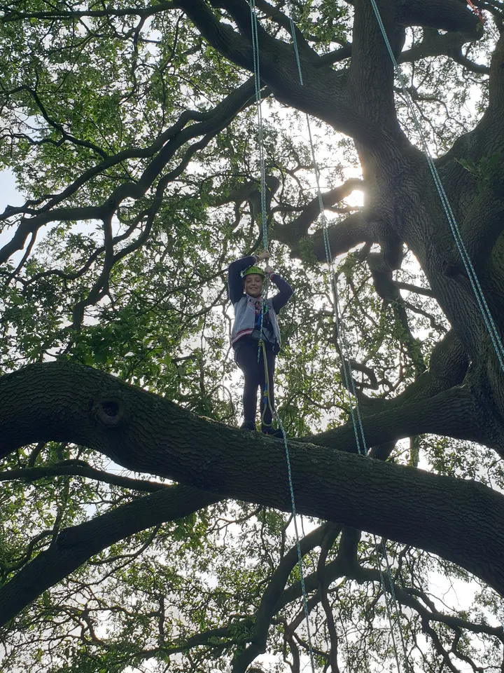 Discover Tree Climbing — climbing-studio in Liverpool — 4