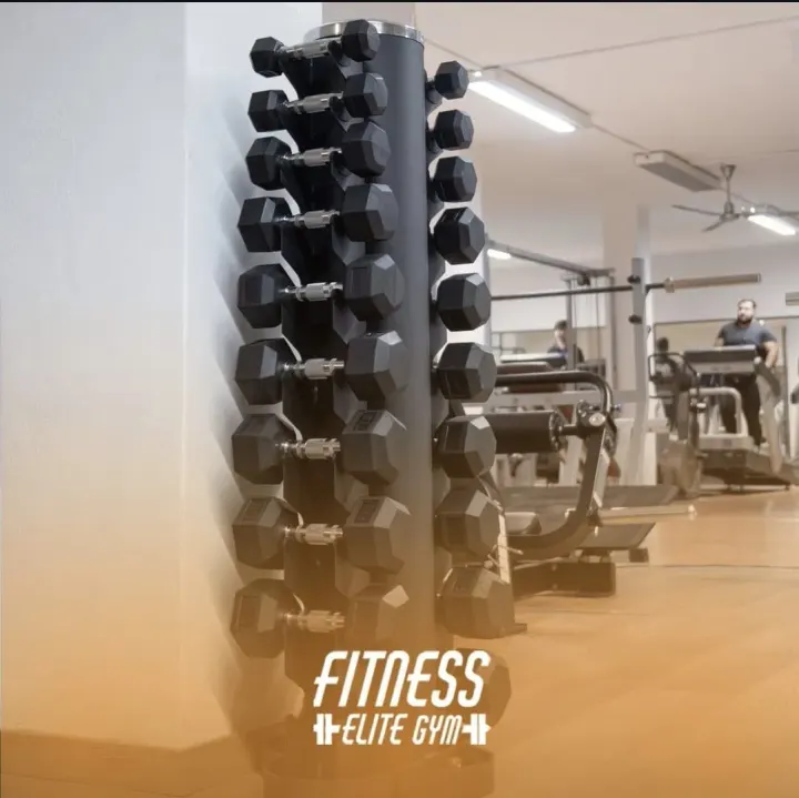 Fitness Elite Gym — ginásio-studio em Mirandela — 3