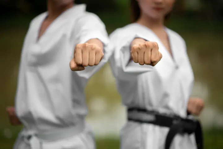 Shotokan Karate-do — arts martiaux-studio à Portet-sur-Garonne, Toulouse — 2