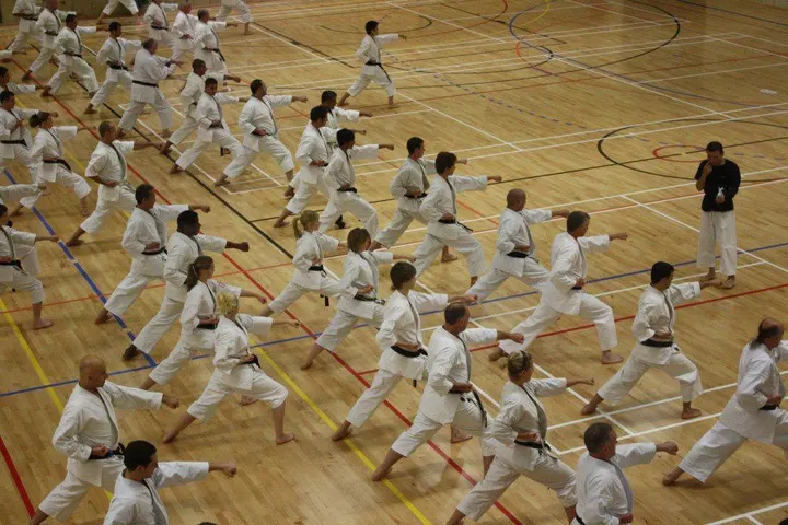 Shotokan Karate-do — arts martiaux-studio à Portet-sur-Garonne, Toulouse — 3