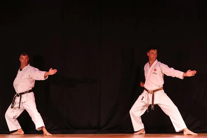 Shotokan Karate-do — Arts martiaux à Portet-sur-Garonne