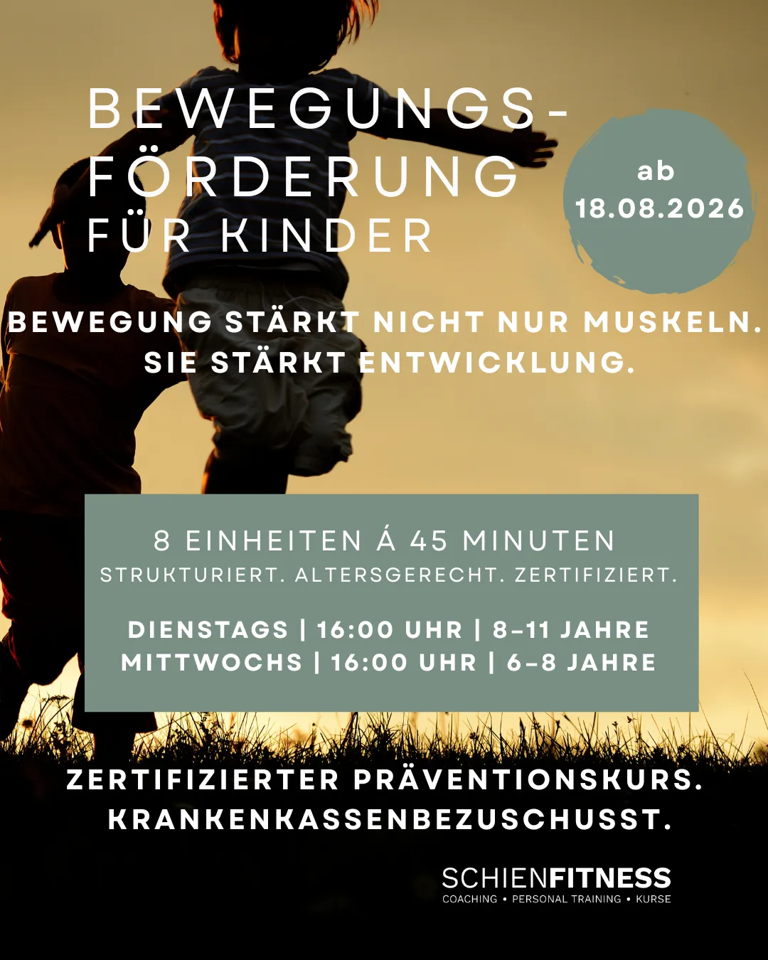 Schien Fitness - Personal Training Wolfsburg — träningsstudio i Wolfsburg — 2