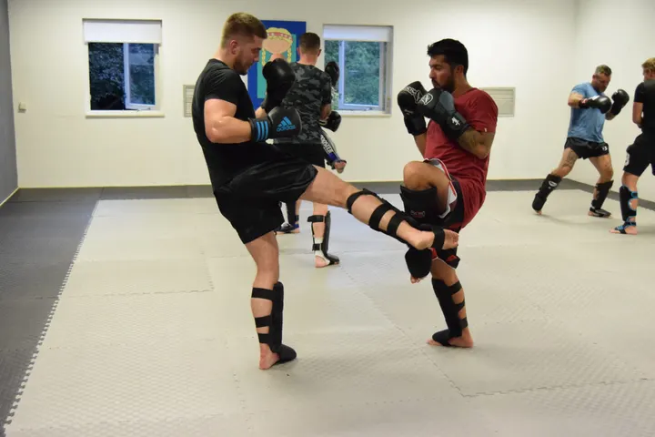 Self Defense Harold v/d Rijst — vechtsport-studio in Sprenkelaar, Apeldoorn — 2