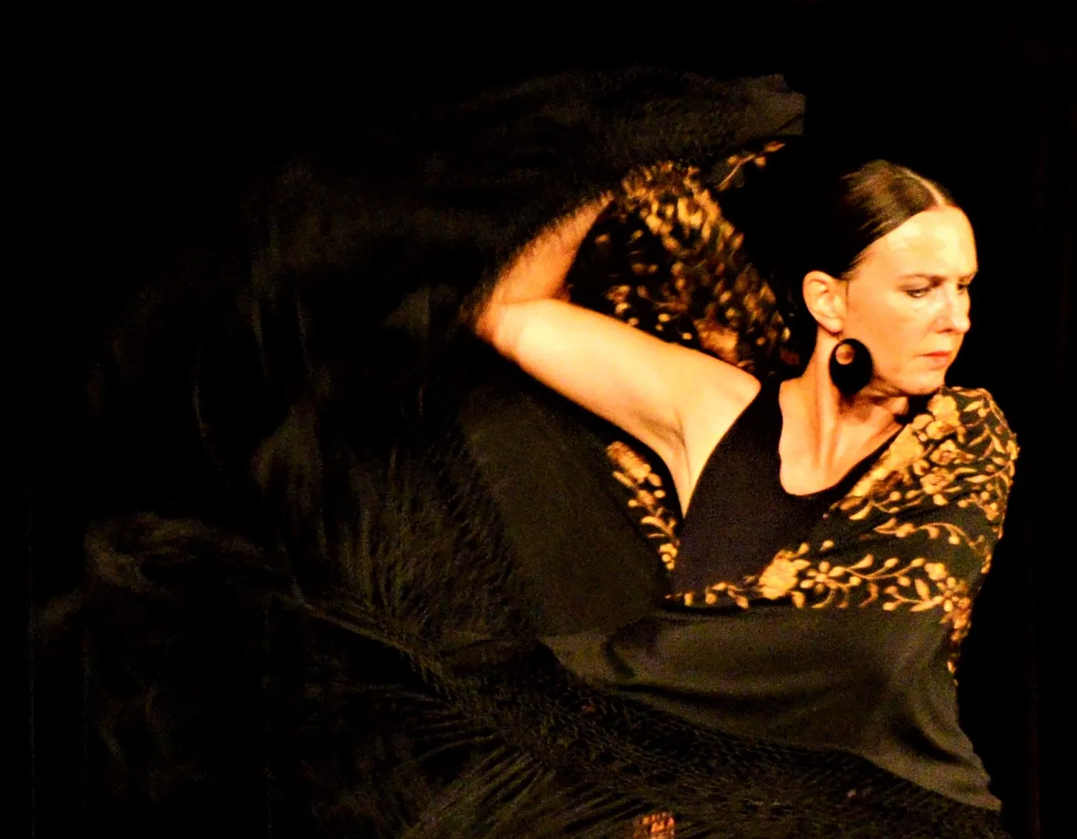 Flamenco und Kathak Tanzschule Iris Brikey — tanz-studio in Nordstadt-Schunteraue, Braunschweig — 3