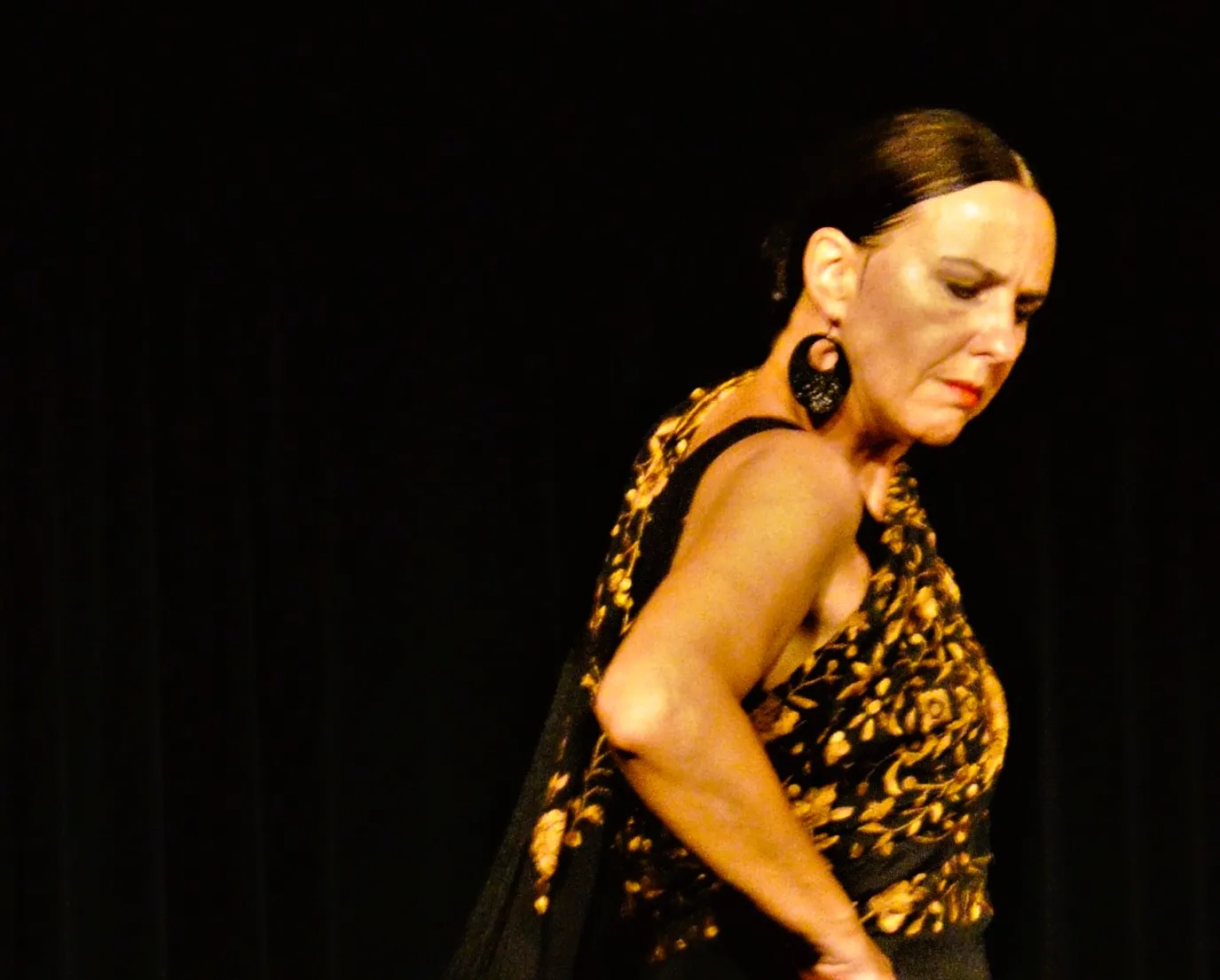 Flamenco und Kathak Tanzschule Iris Brikey — tanz-studio in Braunschweig — 4