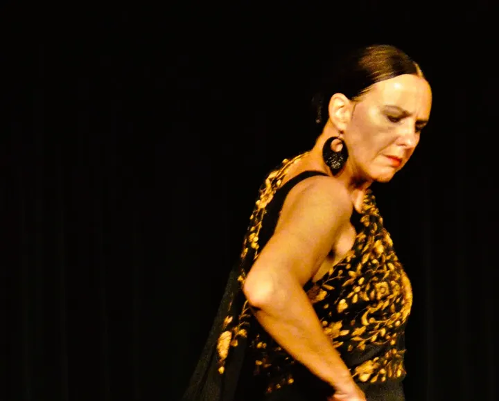 Flamenco und Kathak Tanzschule Iris Brikey — tanz-studio in Braunschweig — 4