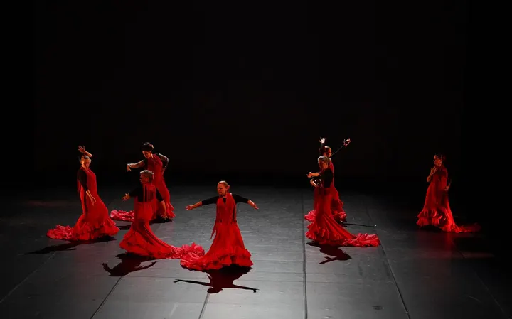 Flamenco und Kathak Tanzschule Iris Brikey — Tanz in Nordstadt-Schunteraue, Braunschweig