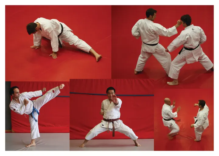 Shotokan Karate Arnhem — vechtsport-studio in Arnhem-Noord, Arnhem — 3