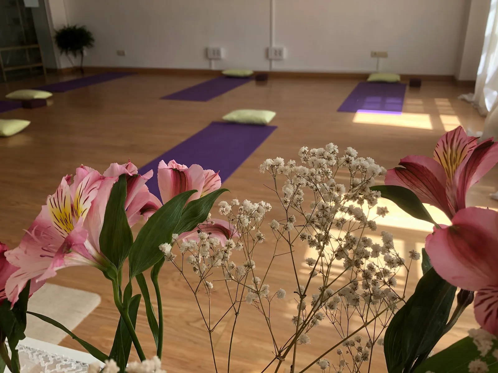 Agora Yoga Santiago — yoga-studio en Santiago de Compostela — 2