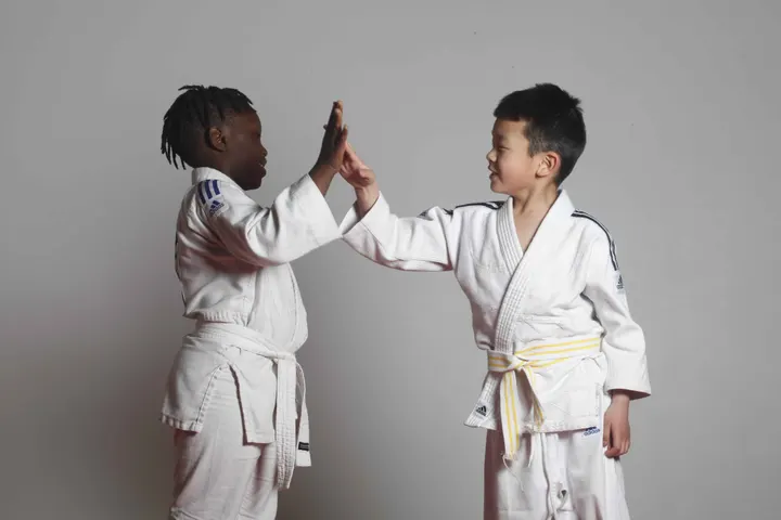 Judo Club Trélazé — arts martiaux-studio aux Petits Carreaux, Trélazé — 2