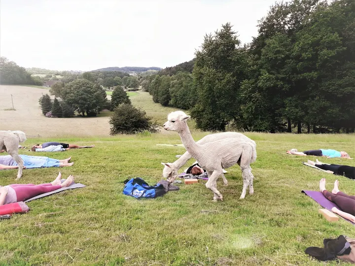 Yoga in Wuppertal Ute Sondermann — Yoga in Gemarkung Barmen, Wuppertal