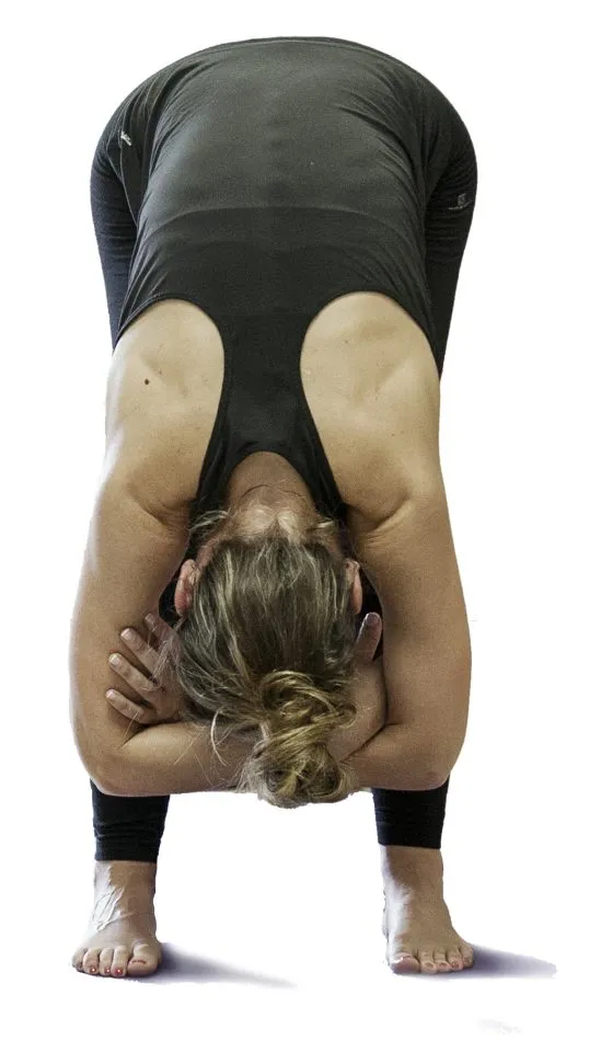 Surya Yoga Oiartzun — yoga-studio i Donostia/San Sebastián — bild 2