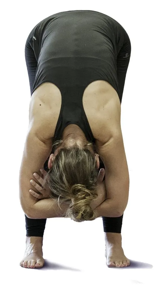 Surya Yoga Oiartzun — yoga-studio en Ugaldetxo — 5