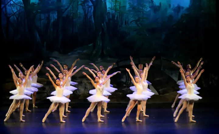 Vlaardingse Ballet en Dans School — Dans in Indische buurt, Vlaardingen