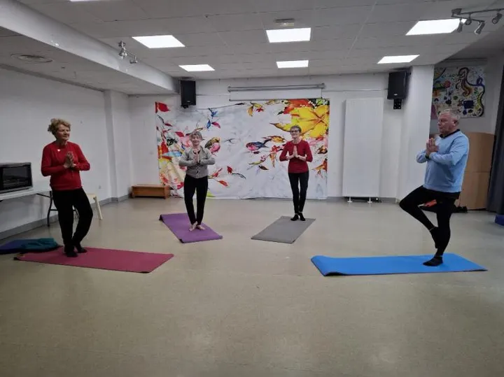 ALYOGA Vauban Esquermes Gymnase Bichat — yoga-studio à Vauban-Esquermes, Lille — 2