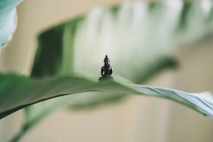 YogaOmkar — Yoga in Daalmeer-Zuidoost, Alkmaar