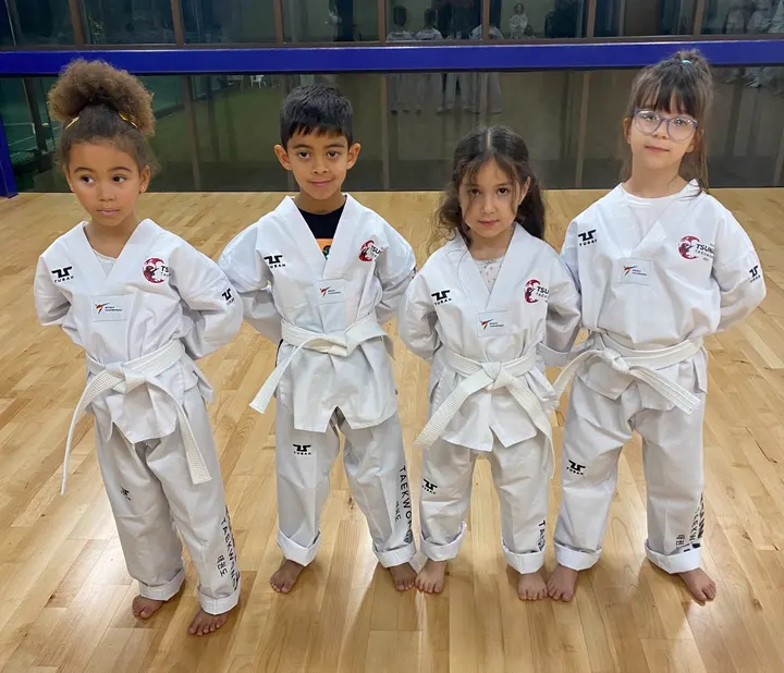 Tsunami Taekwondo Academy — martial arts-studio in Norbury, London — 3