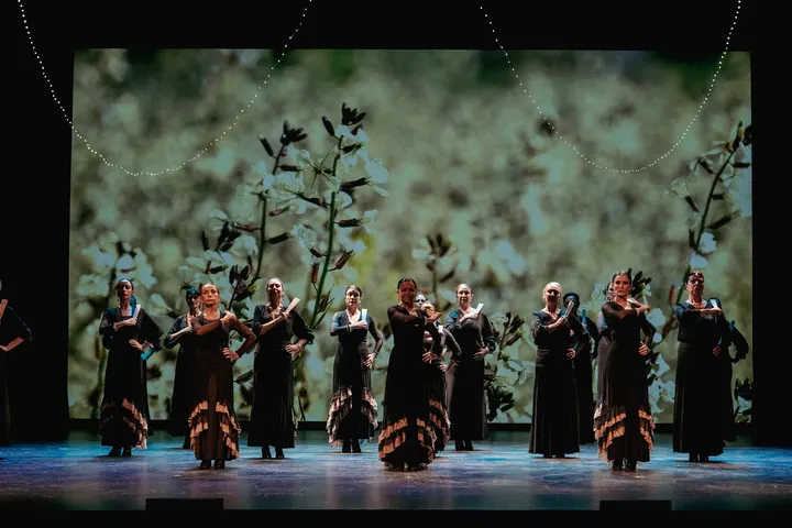MurciAtempo Ballet Profesional — Baile en Murcia, Murcia