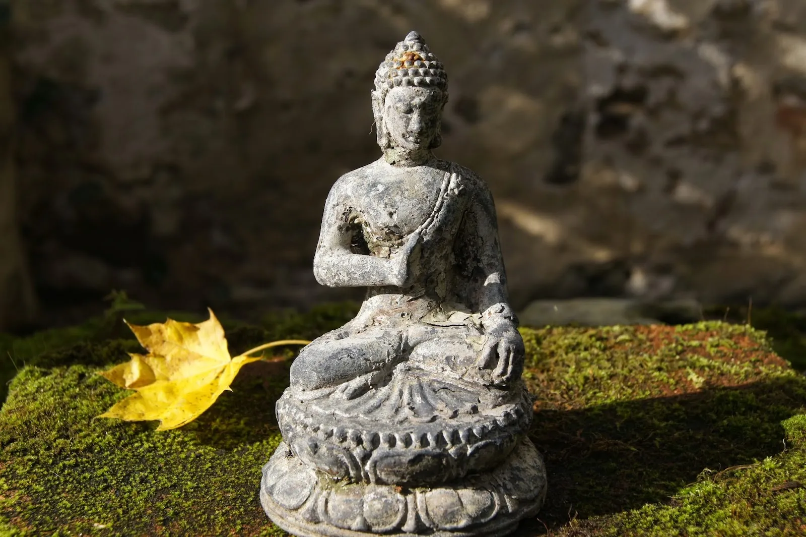 Shambhala Meditation Berlin — meditation-studio in Neukölln, Berlin — 2