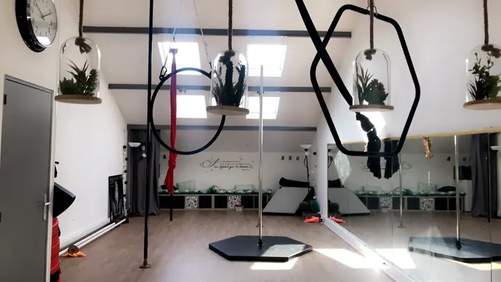Aerial Pole Fit — pole fitness-studio à Montpellier — 3