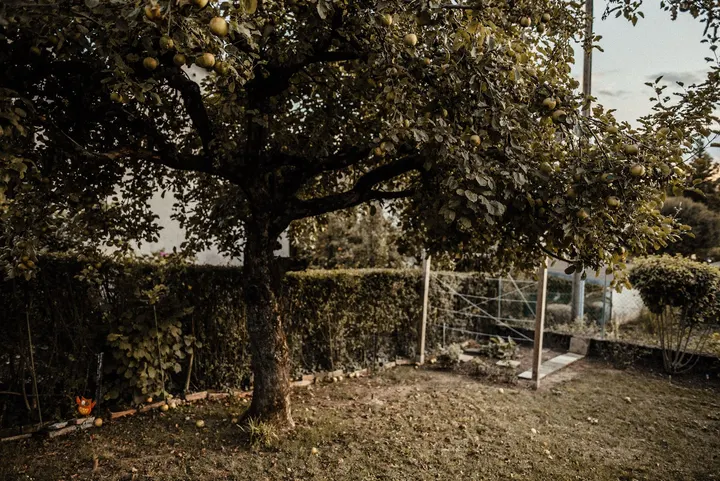Yoga Garten by Cindy Lucia — yoga-studio in Remseck am Neckar — 4
