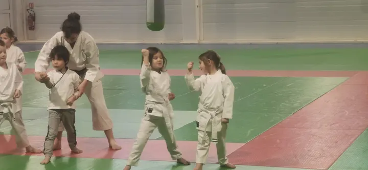 Dojo — Arts martiaux à Fontaine-lès-Dijon