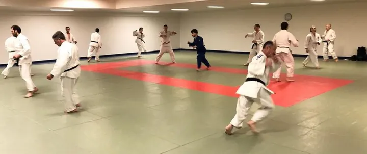 Judo Alliance Paris Saint-Jean — arts martiaux-studio à Paris 7e Arrondissement, Paris — 2