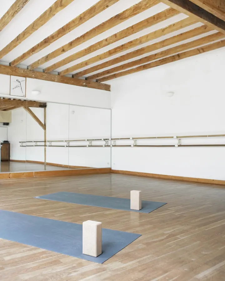 MIRZ Paris 19e Arrondissement — Yoga à Paris 19e Arrondissement, Paris