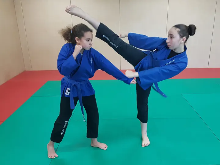 Meslek Combat — mma-studio à Delaunay - Belleville - Semard, Saint-Denis — 2