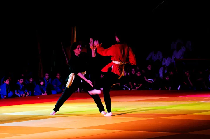 Tam Vo Dao — Arts martiaux à Paris 13e Arrondissement, Paris