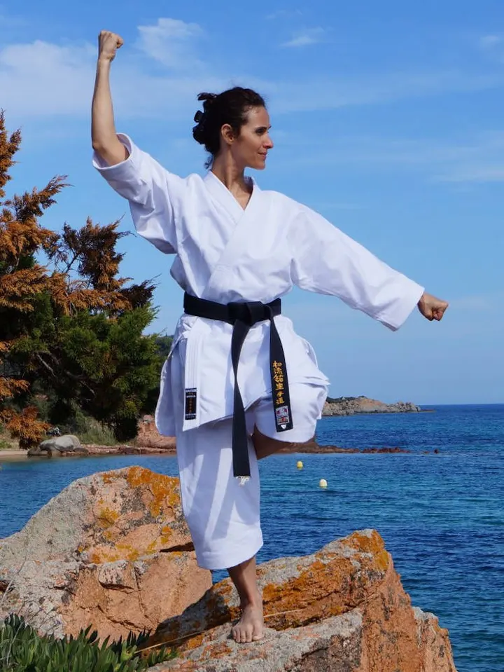 Shotokan Karate Club de Haute Savoie — arts martiaux-studio à Seynod, Annecy — 3