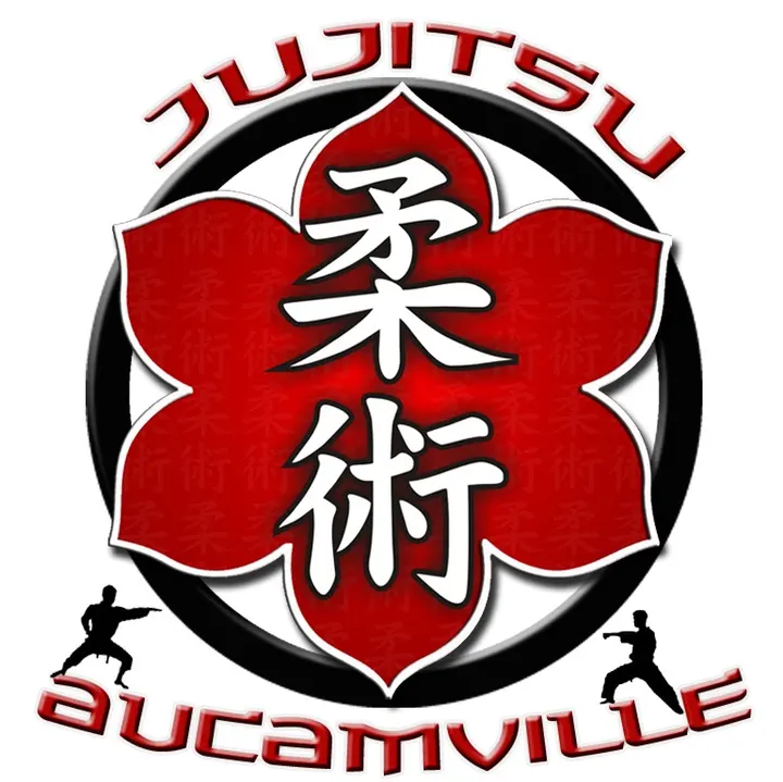 JUJITSU Aucamville — jjb-studio à Aucamville, Toulouse — 2