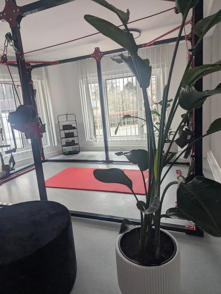 MoviQ — reformer pilates-studio in Frankfurt am Main — 4