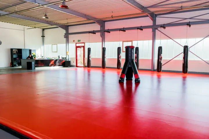 Temple Wushu — Kampfsport in Gemarkung Vohwinkel, Wuppertal