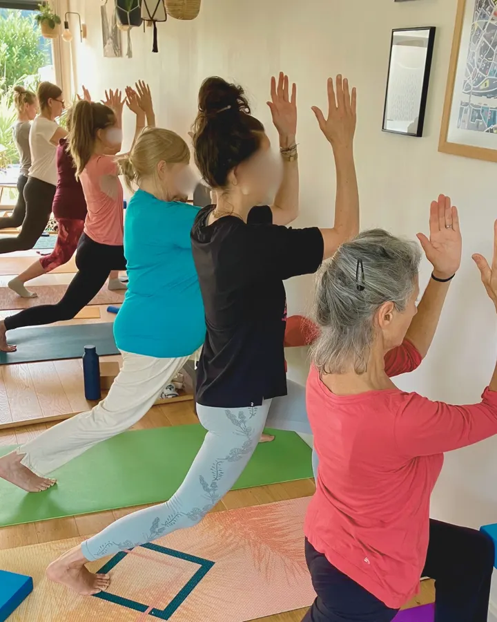 Lucia Yoga (Bois Raguenet) — yoga-studio à Orvault, Nantes — 2
